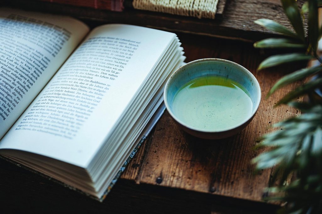 reading, tea, teatime, nature, teapot, green tea, japan, sencha, rainy, rain, calm